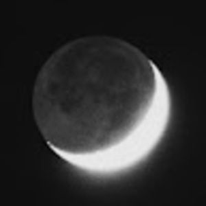 Meet your Posher, Nora